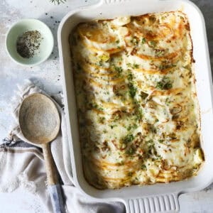 An easy Butternut Squash Gratin baked in a casserole dish, topped with melted cheese and chopped herbs sits in a white ceramic dish. A wooden spoon, cloth napkin, and small bowls of spices and fresh herbs are arranged nearby on a textured surface.