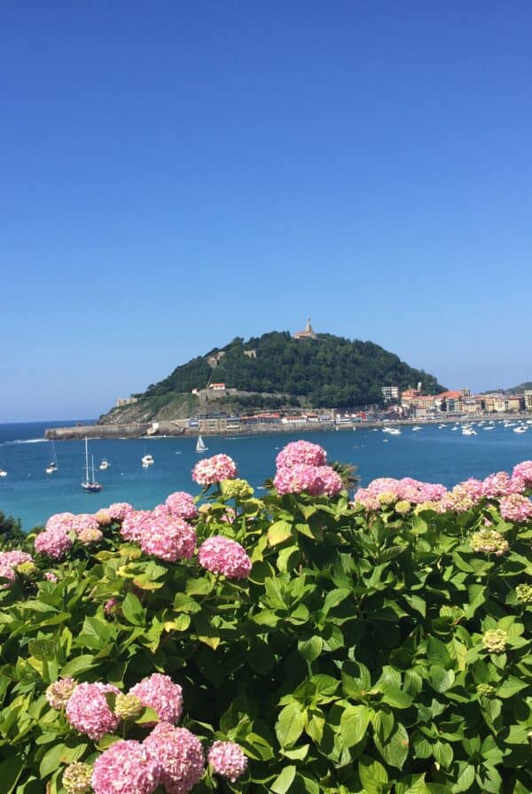 Pink hydrangeas bloom in the foreground, while in the background a blue bay dotted with sailboats glistens beside a green hill crowned by a statue under a clear sky—a quintessential scene when exploring What To Do In San Sebastian.