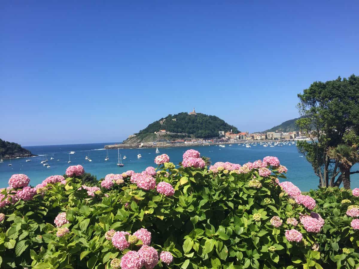 Pink hydrangeas bloom in the foreground, while in the background a blue bay dotted with sailboats glistens beside a green hill crowned by a statue under a clear sky—a quintessential scene when exploring What To Do In San Sebastian.